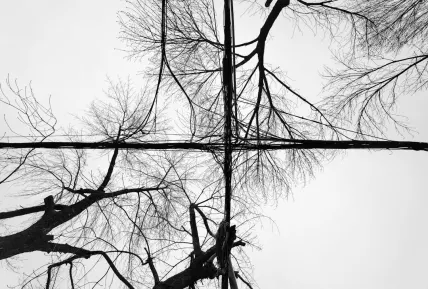 كريستال كازينو تطبيق الهاتف المحمول